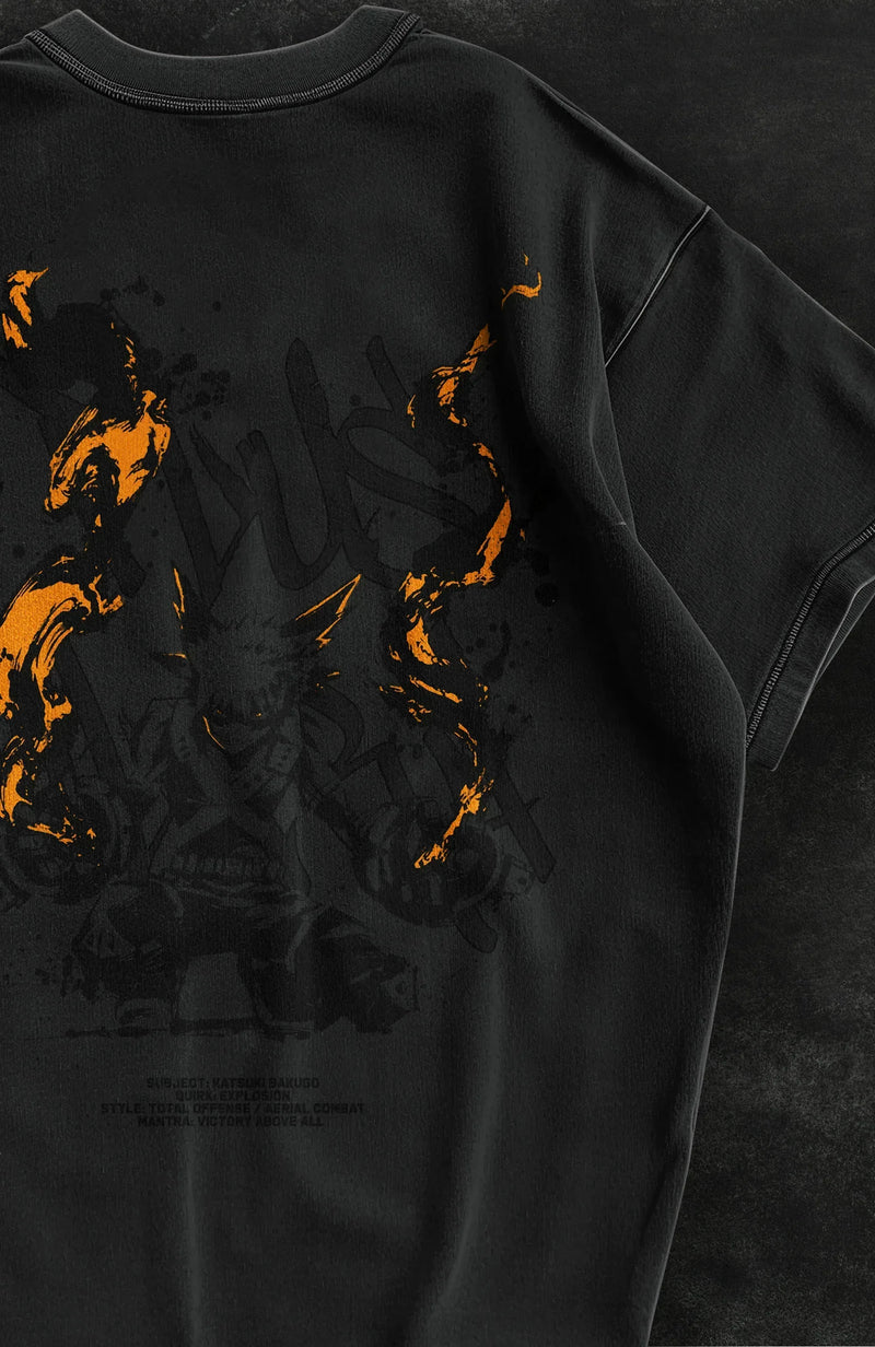 HEROES-WITHIN                                COLLECTION